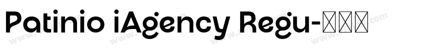 Patinio iAgency Regu字体转换